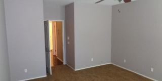 29137 Lighthouse Gallery 23