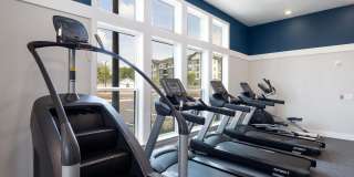 Arlow at Blue Ridge Gallery 36