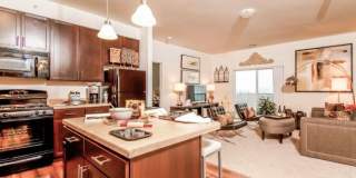 Abbey Lane Gallery 21