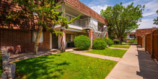 Meadowlark Gallery 28