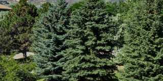 Camden Denver West Gallery 27