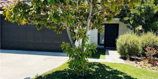 32561 Del Zura Gallery 4