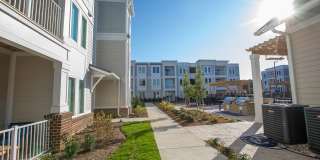 Ascend at Hilltop Gallery 105