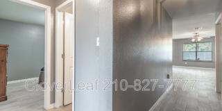 229 Hereford St Gallery 6