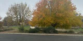 House For Rent! Gallery 18