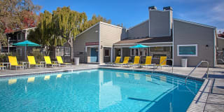 The Alexandar Gallery 15