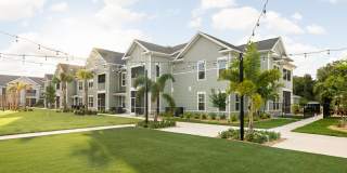 Palm Grove Gallery 44
