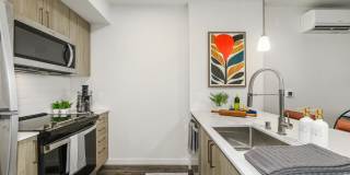 Ellis at Bel-Red Gallery 9