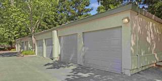 Broadleaf Apartments Gallery 27