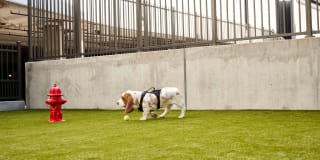 Church + Henley Apartments Gallery 26