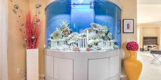 6437 Grand Mayne Court Gallery 10