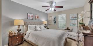 Turtle Lake Gallery 12