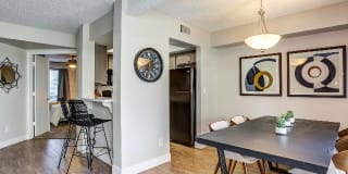 Avana at the Pointe Gallery 4