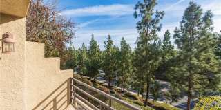 24 Cellini Gallery 33