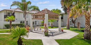 Bay Laurel Gallery 27