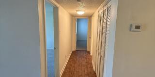 Marsh Cove & Somerset Gallery 32