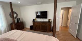 141 Osborne Avenue Gallery 40