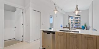 The Mile Coral Gables Gallery 38