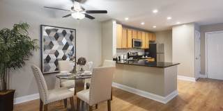 Stuart Hill Gallery 11