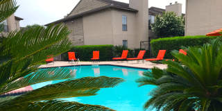 Wilshire Park Gallery 10