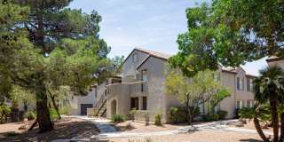 Sahara West Gallery 21