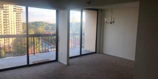 7401 WESTLAKE TER #1005 Gallery 3
