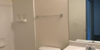 1723 Dove Creek Circle Gallery 6