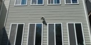 652 Dorchester Avenue - 1 Gallery 17