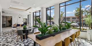 Treehouse Gallery 20