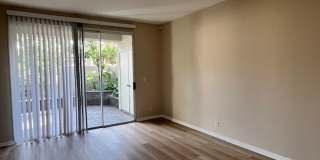 Brand New Irvine Remodel - Turtle Rock Stunner! Gallery 9