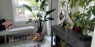 Gulfport charm 3/1 1 car garage Gallery 4