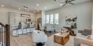 Zetta Gallery 1