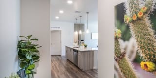 Acero Cooley Station Gallery 15