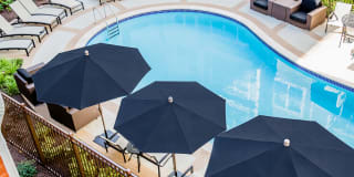 The Point at Dunn Loring Gallery 30