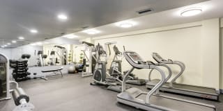 Tivoli Gardens Gallery 19