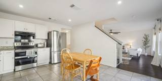 39 Longleaf Coral Gallery 16