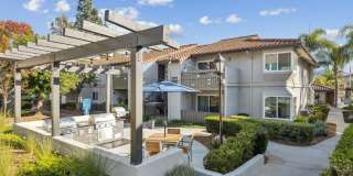 Sofi at Wood Ranch Gallery 29