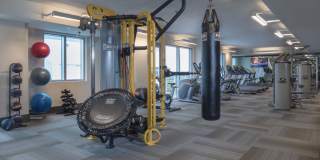 Miro Brickell Gallery 7