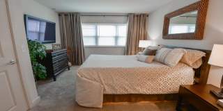 The Dorothy J Gallery 2