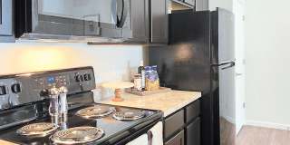 Alkire Meadows Gallery 18