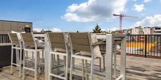 Novo Novo Gallery 24