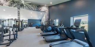 ReNew at the Greens Gallery 19