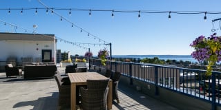 Junction Flats and Landing Junction Flats and Landing Gallery 29