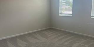 564 POTHOS Street Gallery 11