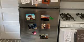 46 Orkney Rd#2 Gallery 18