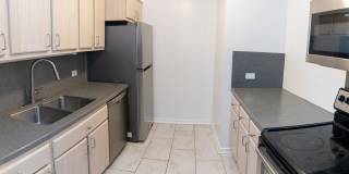 1169 S Plymouth Court Gallery 4