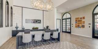 Vida Morgan Hill Gallery 17