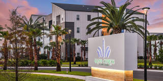 Grand Cypress Gallery 6