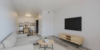Escarlata 29 Gallery 2