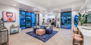 Ocean Club Gallery 17